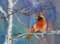 Cardinal Bird
