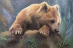 Baby Cub